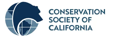 Screen Shot 2022-07-29 at 4.24.04 PM