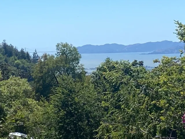 view from uc botanical garden berkeley sandoval 2022