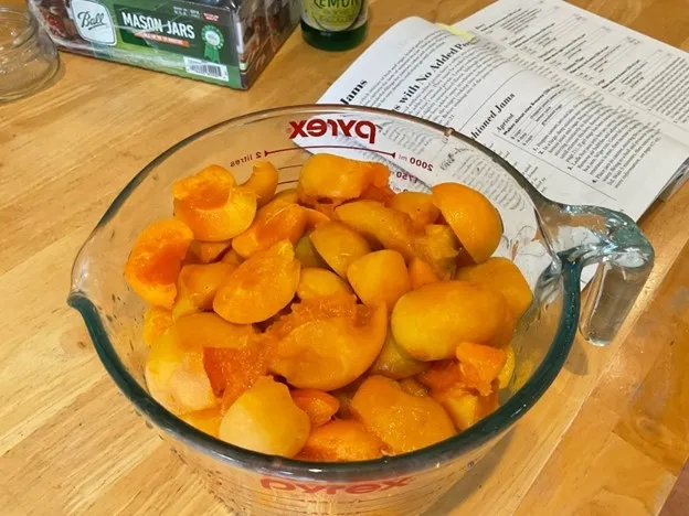 Apricots in Glass Measuring Cup