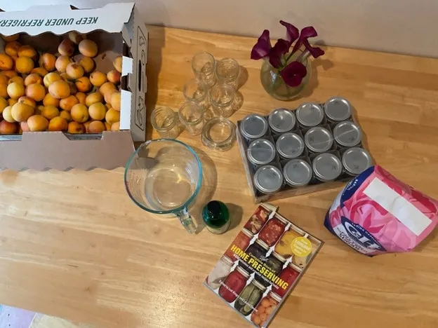 Ingredients and Canning Supplies