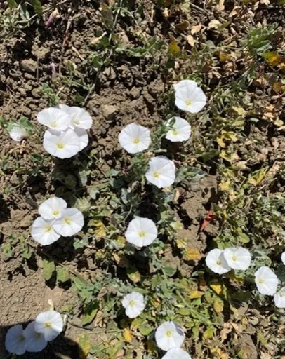 photos by Sherry Richards