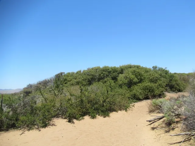 photos by Lanie Keystone