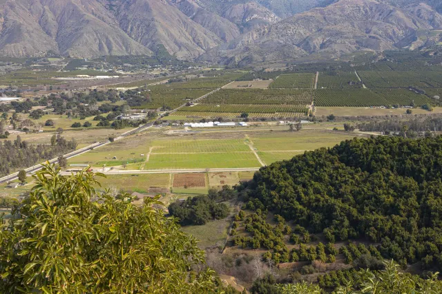 Taken by Ben DiAnna (January 2022).