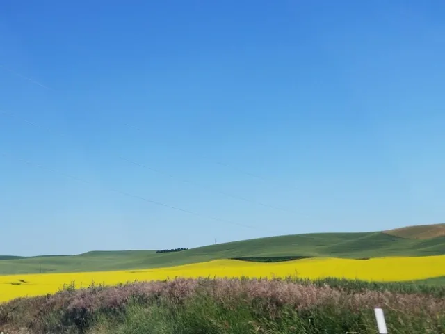 New crops to learn about