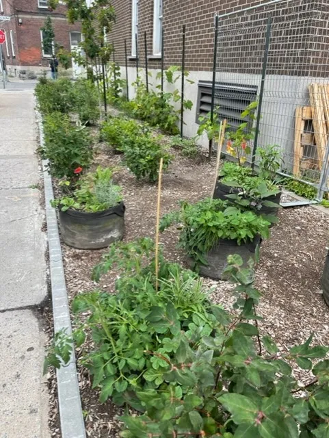 all photos by Cindy Yee