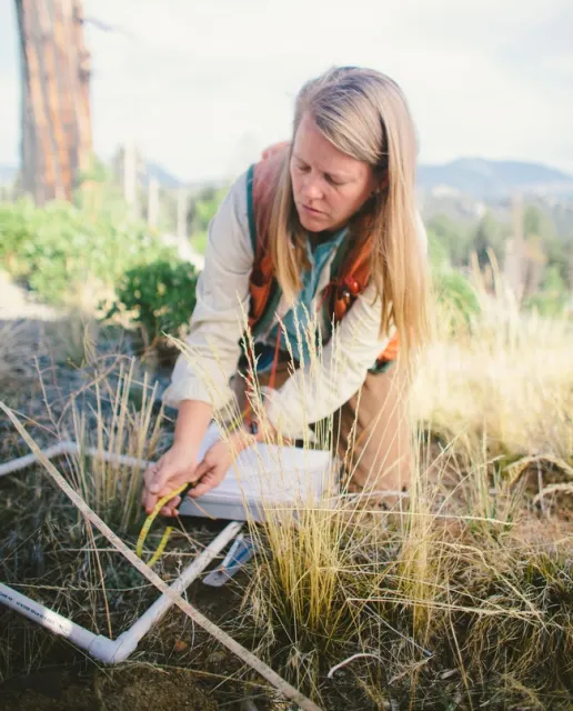 ANR UCOP-Susie sampling small