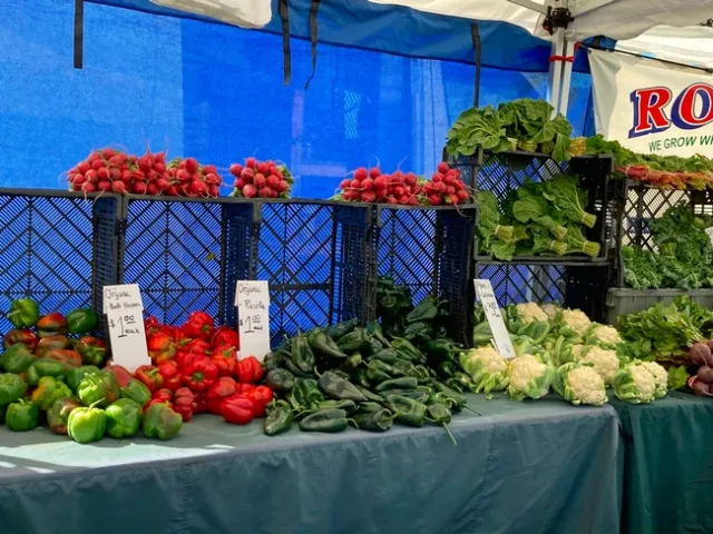 Lo granjeros orgánicos de California recibirán asistencia para la producción y comercialización de sus productos por parte de la CDFA y UC ANR.