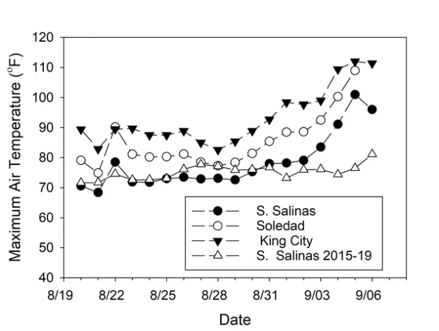 Figure 1. Maximum air temperatures recorded at the South Salinas, Soledad, and King City CIMIS weatherstation from August 20 – September 6, 2022. Average maximum air temperatures for the same period during years 2015-2019 for South Salinas are also shown