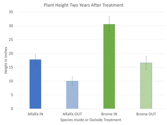 Plant Height