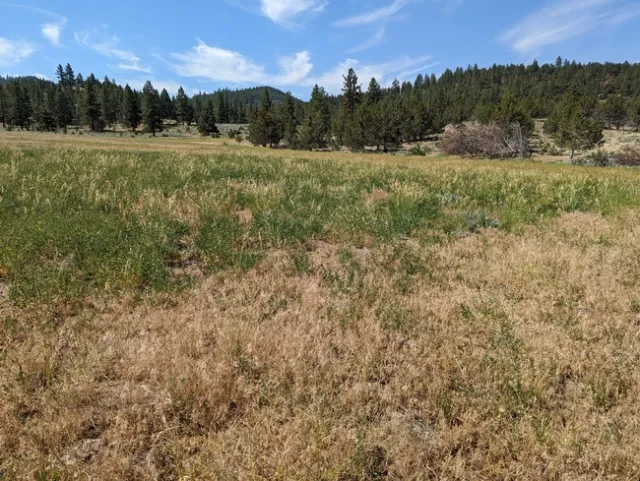 Looking From Untreated to Treated