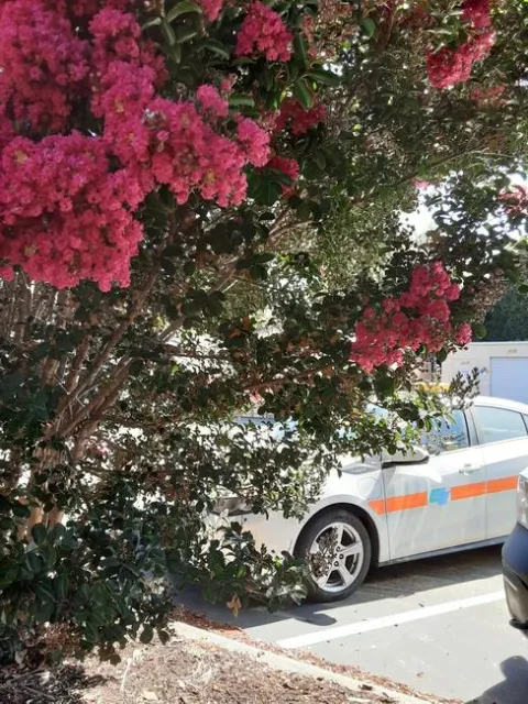 Photo by Phyllis Molnar