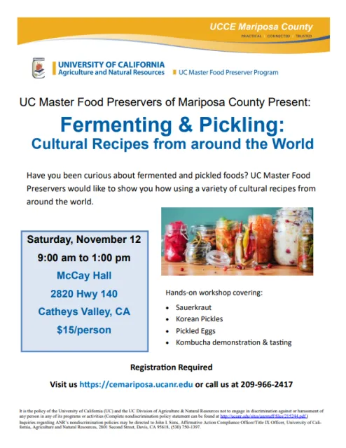 Workshop Flyer Photo