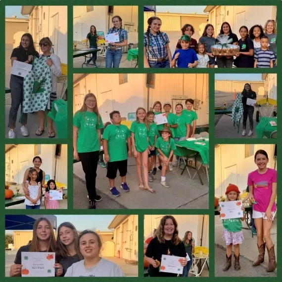 Clover-Joyed collage