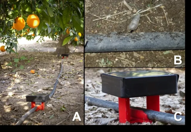 infra-red sensonr for ants