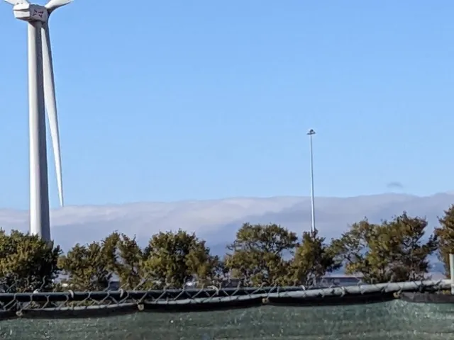 photos by Nanelle Jones-Sullivan