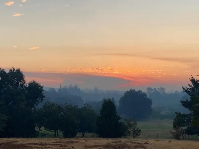 7ADFDED9-0883-4A56-8B3D-ED637D8C599C