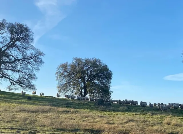 5D247AB2-AEDB-415A-B139-C0F81DCA1E3C