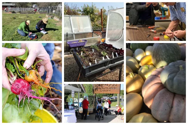 photo collage mg of edc 2