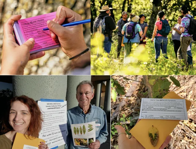 Screen Shot 2022-11-04 at 5.42.53 PM