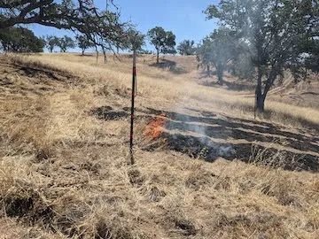 Prescribed burn at Camp Roberts in San Miguel