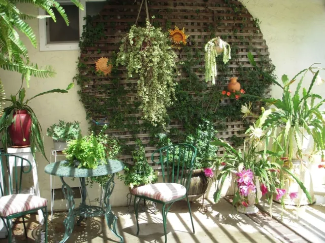 photos by Launa Herrmann