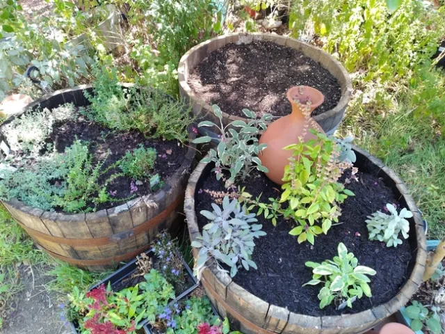 garden containers
