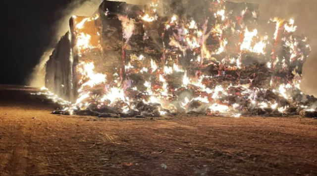 Screen Shot 2022-11-21 at 8.33.36 AM