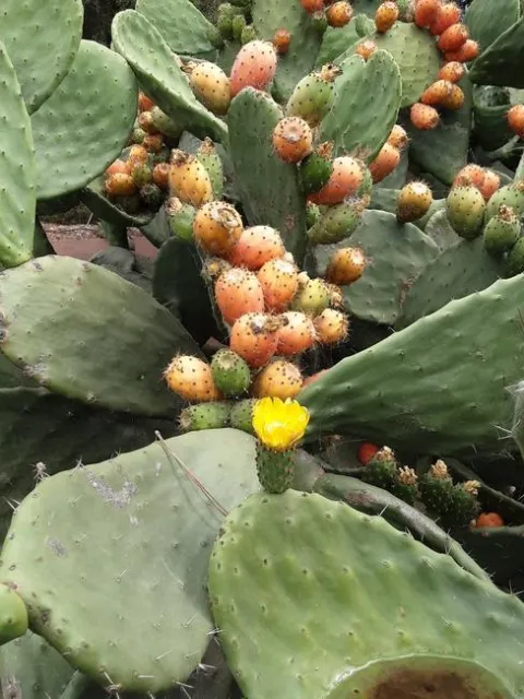 Photo by Phyllis Molnar