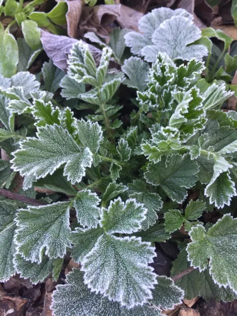 photo by Jennifer Baumbach