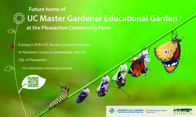 Sign designed by Jimmy Chan