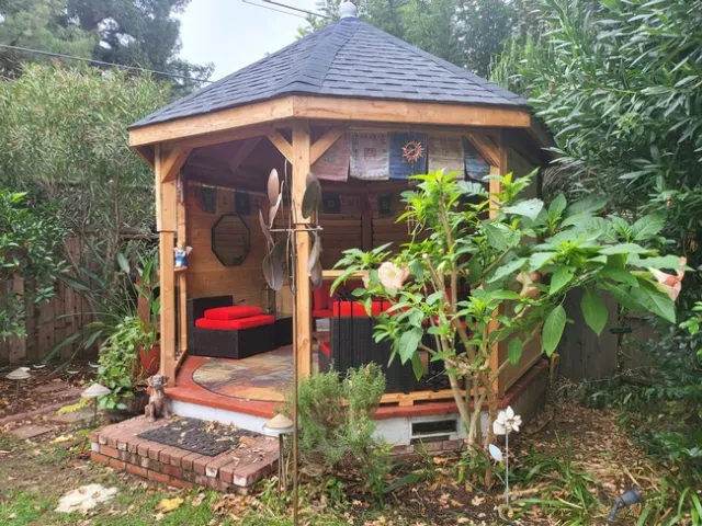 Brugmansia Shrub & Gazebo - photo by Paula Pashby
