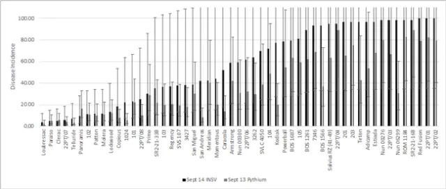 22 Pythium Figure 9.jpg
