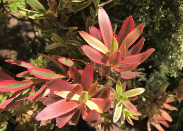 Photo by Megan Edwards