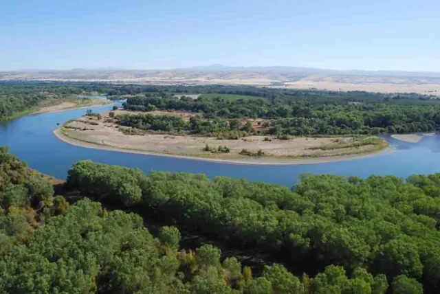 Sacramento River Tehama County, The Nature Conservancy