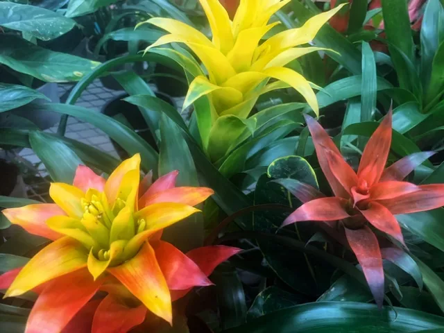 Photo by Deborah Light-Pacheco