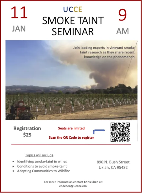 Smoke Taint Advertisement