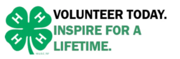 Screenshot 2022-12-22 110705