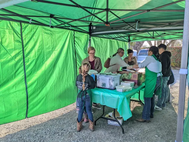 4-H Members Serving at the Drive Thru