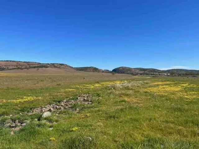 Open space. Andrea Craig