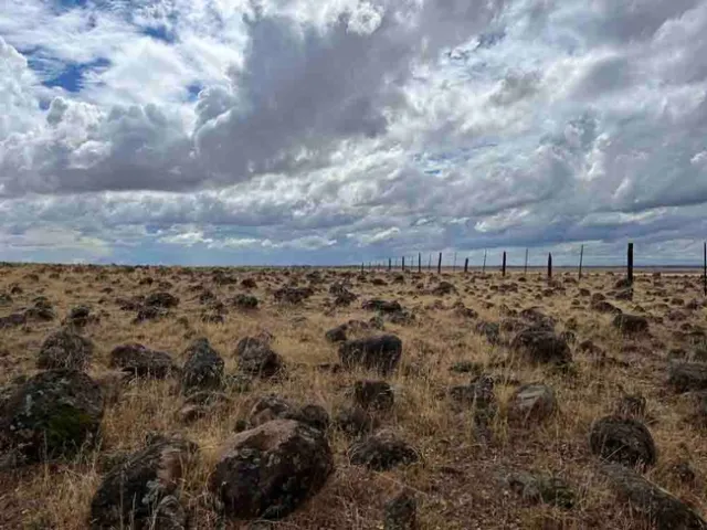 Field and sky. Andrea Craig