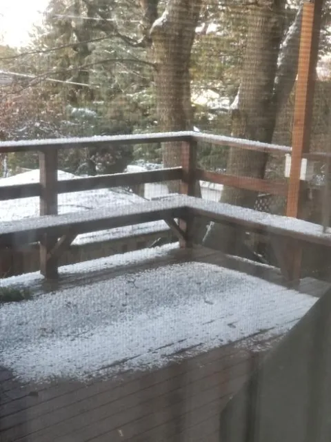 20221230 winter photo