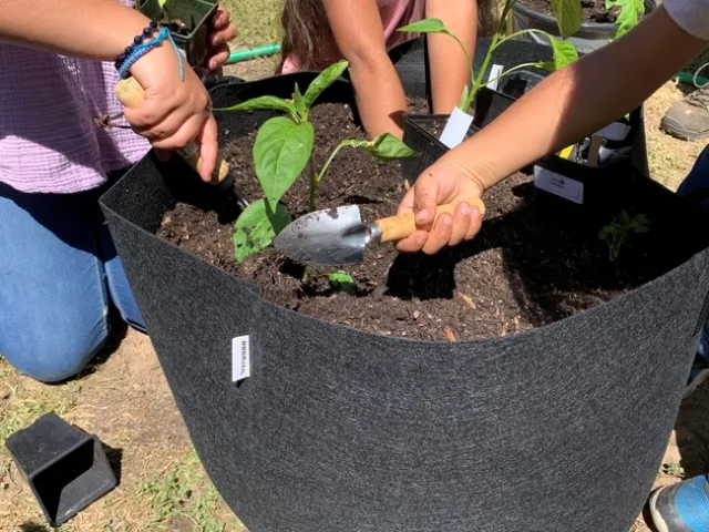 Young people dig into a planter at the Foothill Indian Education Alliance garden