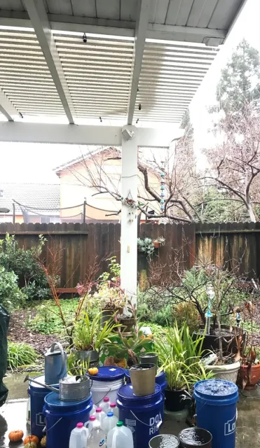 photos by Karen Metz