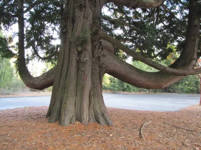 photo by Lanie Keystone