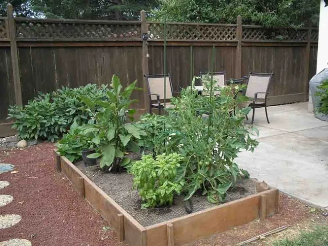 Raised bed gardening is one of the workshops offered in the Master Gardener Spring Workshop Series. Laura Lukes