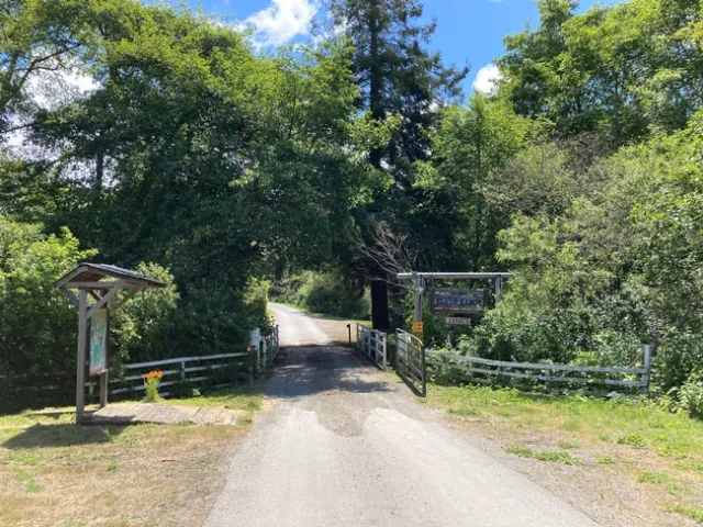A leafy canopy of trees shade the 30-foot bridge to Elkus Ranch.