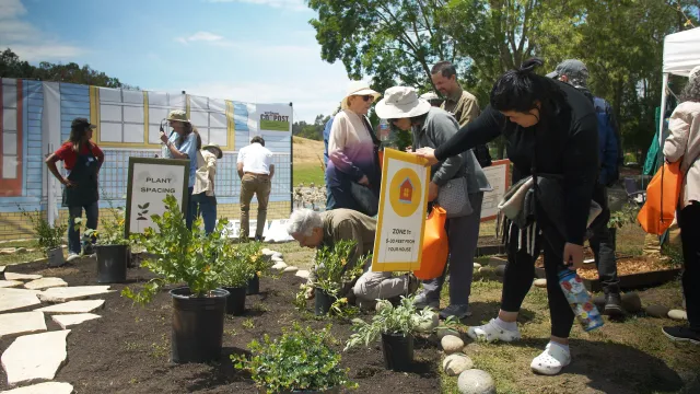 Ember Stomp Video Capture