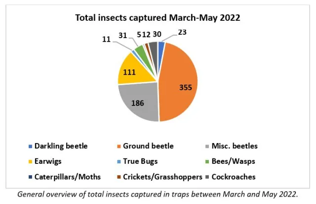 total insects captured