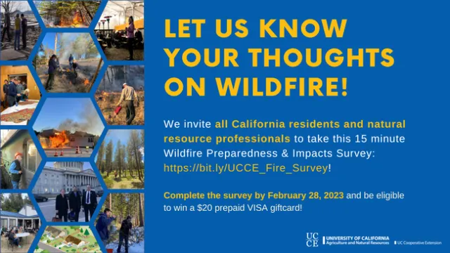 NeedsAssessment TwitterGraphic woQR