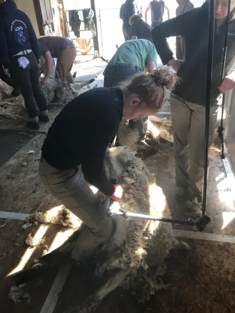 2020 Shearing Students